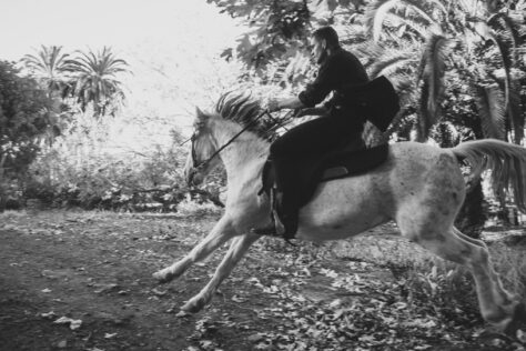 Running with the Horses